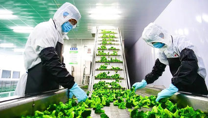 張掖市科學技術局推動種植技術開發，助力農業現代化轉型