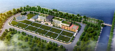 青島海水稻研發中心揭牌，首代稻種預計11月問世，技術開發引領農業新篇章