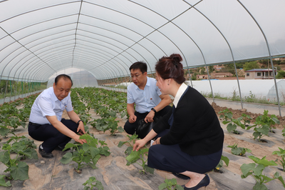 黨建引領促發展 技術扶貧暖人心——蘭州高新區“兩新”組織黨委攜手愛心企業開展“支部結對共建、助力脫貧攻堅”主題黨日活動側記